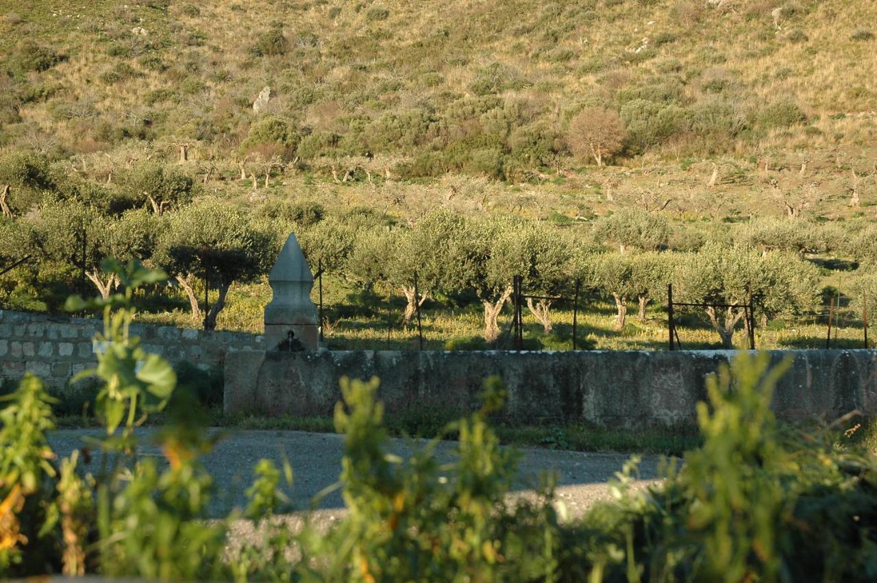 Il Vecchio Frantoio Villa Scillato  Eksteriør bilde